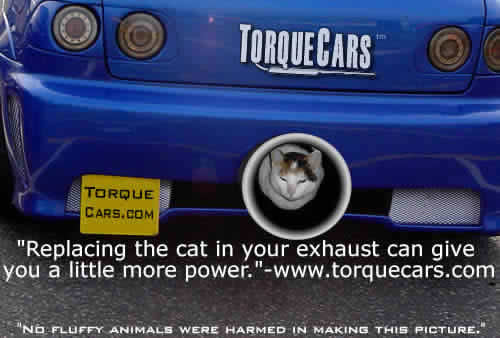 Removing your cat from the exhaust