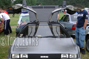 Delorean Gull wing doors